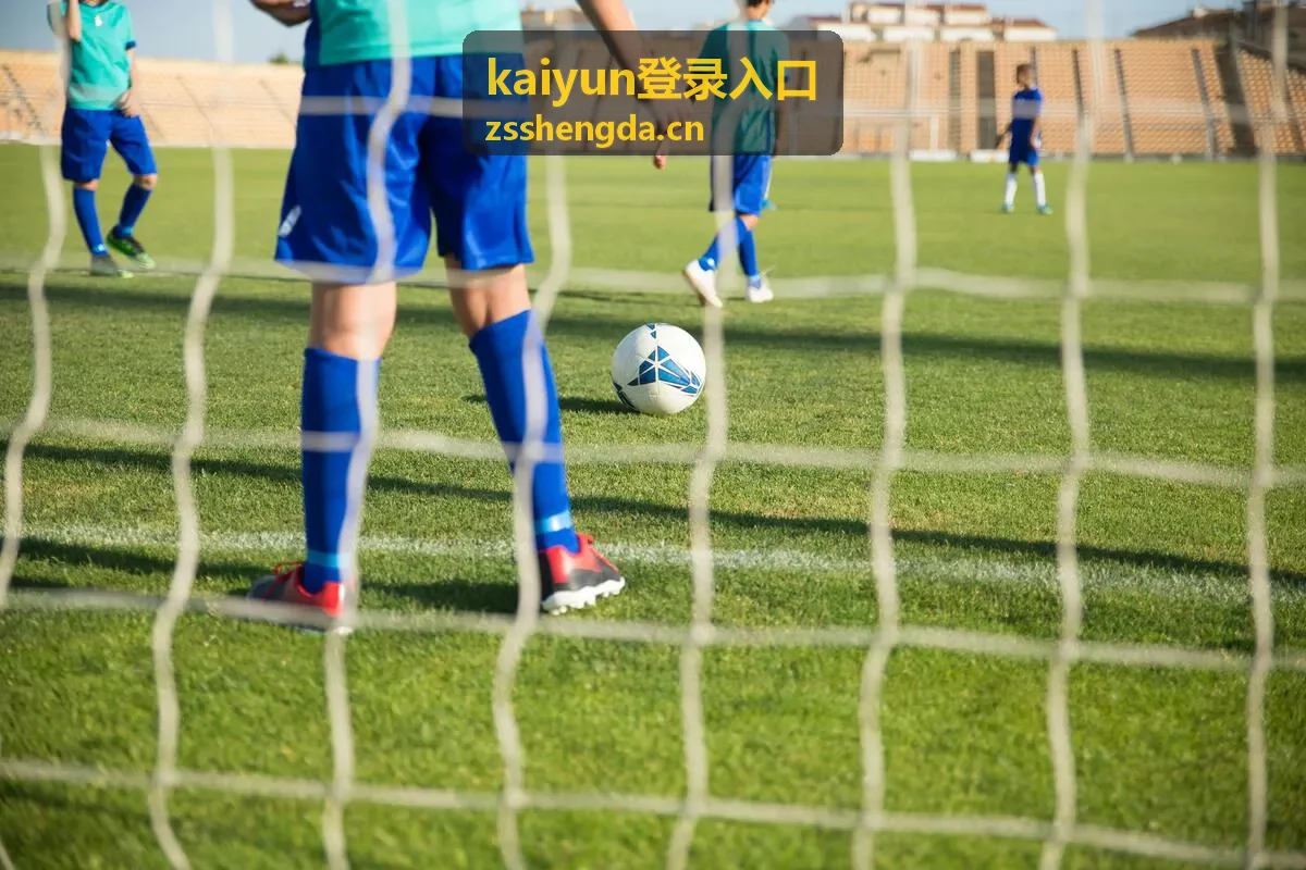 kaiyun登录入口常见问题处理示意