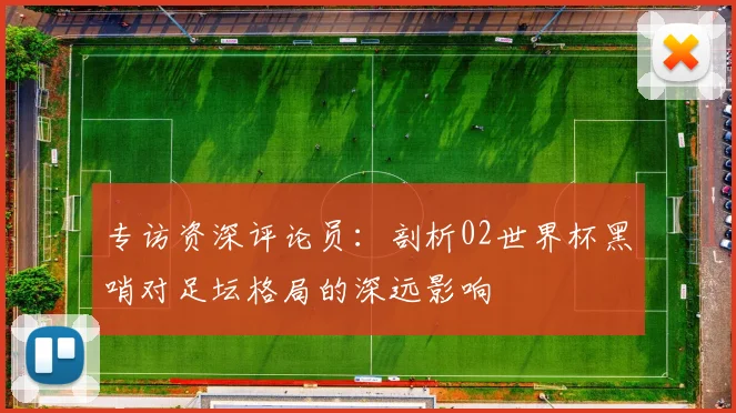 专访资深评论员：剖析02世界杯黑哨对足坛格局的深远影响