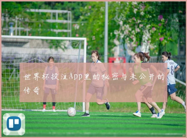 世界杯投注App里的秘密与未公开的传奇