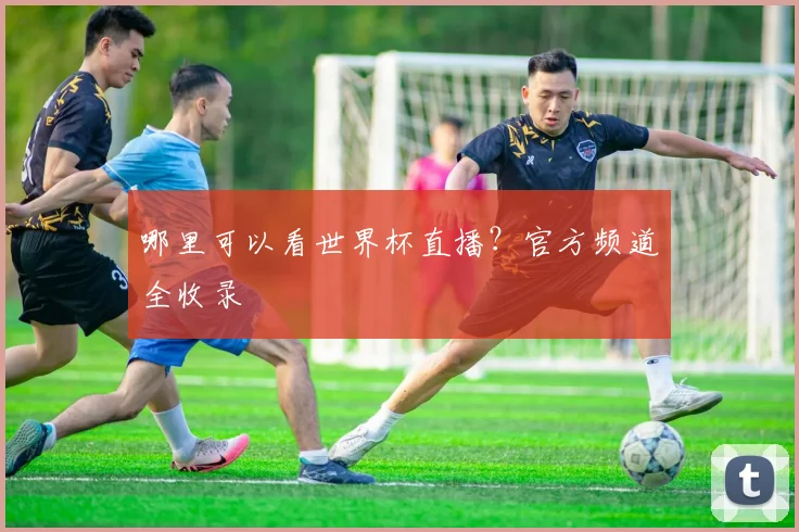 哪里可以看世界杯直播？官方频道全收录