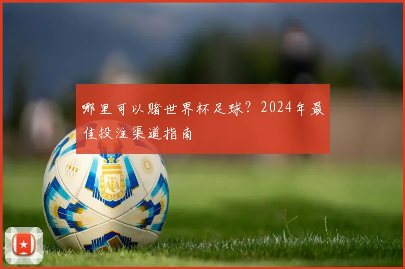 哪里可以赌世界杯足球？2024年最佳投注渠道指南