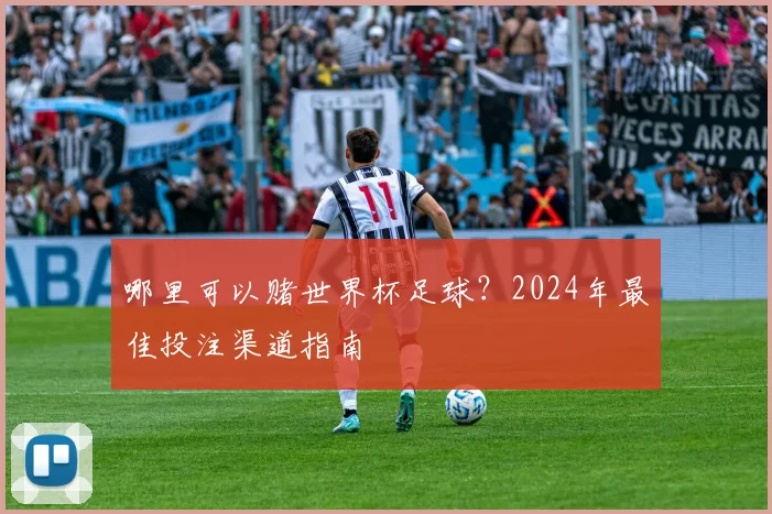 哪里可以赌世界杯足球？2024年最佳投注渠道指南