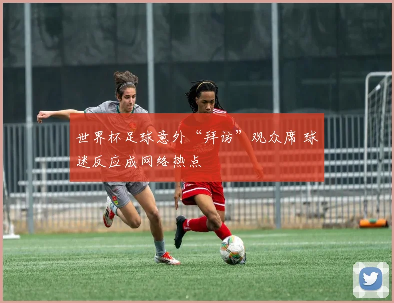 世界杯足球意外“拜访”观众席 球迷反应成网络热点
