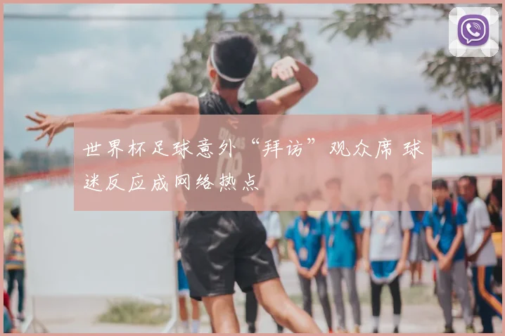 世界杯足球意外“拜访”观众席 球迷反应成网络热点