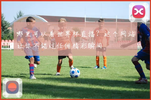 哪里可以看世界杯直播？这个网站让你不错过任何精彩瞬间